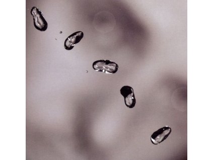 Peter Gabriel - Up (CD)