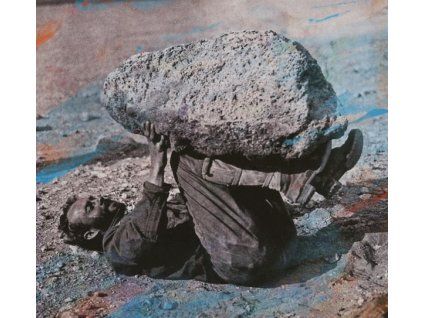 3970626 forest swords compassion cd