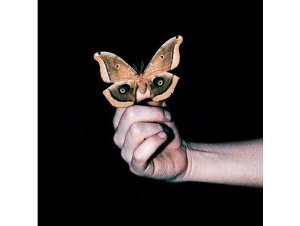 Soulwax - All Systems Are Lying (CD)