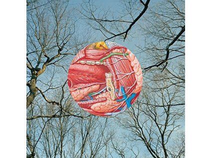 3974712 they might be giants glean cd