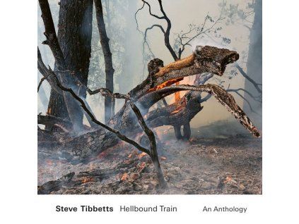 3978834 steve tibbetts hellbound train an anthology cd