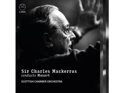 Wolfgang Amadeus Mozart (1756-1791) - Symphonien Nr.29,31,32,35,36,38-41 (CD)