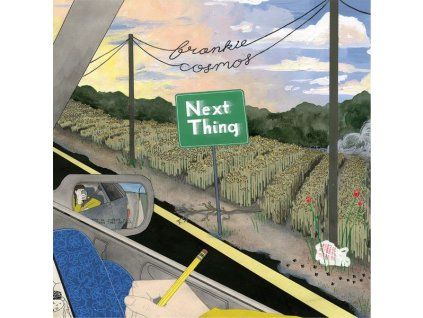 3984102 frankie cosmos greta kline next thing cd