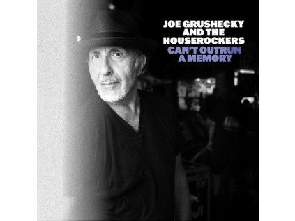 3984129 joe grushecky can t outrun a memory cd