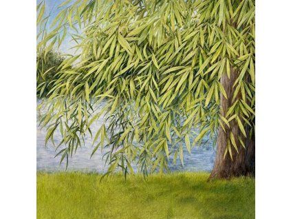 3984663 martin simpson thomm jutz nothing but green willow cd