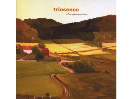 3987571 triosence when you come home cd