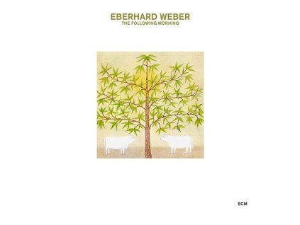 3988714 eberhard weber the following morning touchstones cd