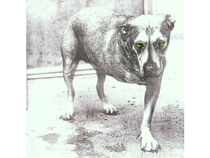 Alice In Chains - Alice In Chains (CD)