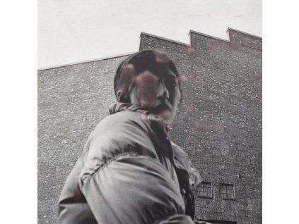 3989266 aldous harding warm chris cd