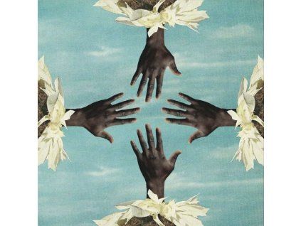 3990058 kokoroko could we be more cd