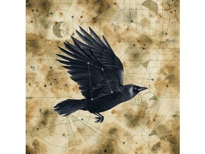 3992236 big big train grimspound cd