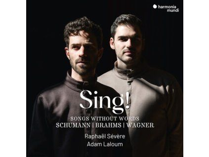 3994096 raphael severe sing songs without words cd