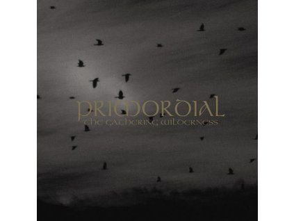 3996976 primordial the gathering wilderness cd