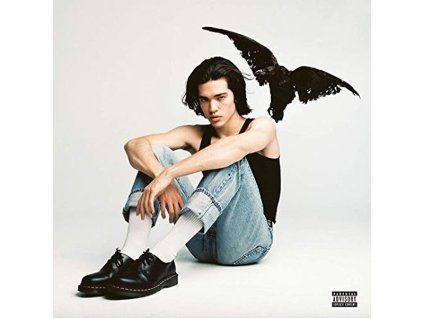 3997342 conan gray kid krow cd