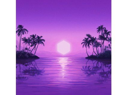 4000447 purple disco machine paradise cd