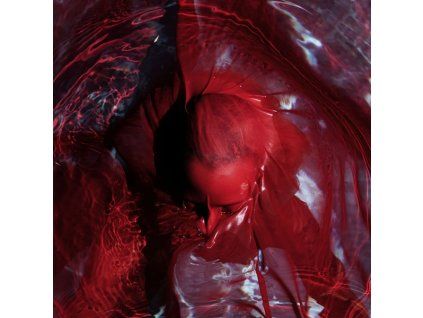 4000735 blackwater holylight not here not gone cd