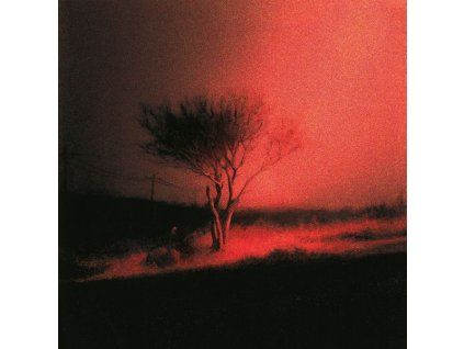 4002127 joji piss in the wind cd