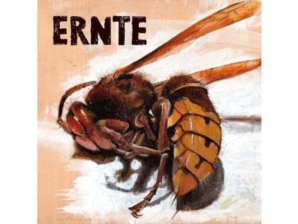 4003090 ernte ernte cd