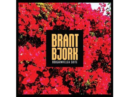4007902 brant bjork bougainvillea suite cd
