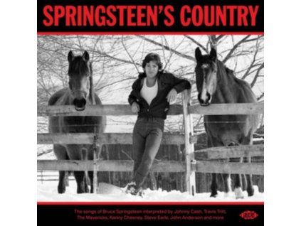 4014880 various artists springsteens country cd