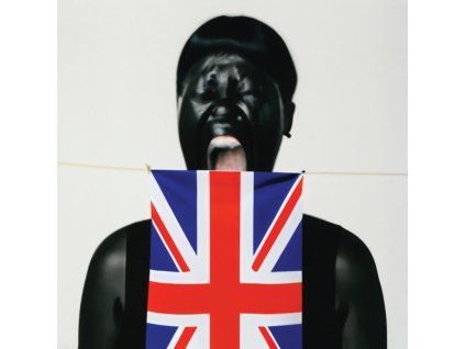 4016759 vv brown am i british yet cd