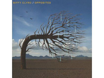 4017458 biffy clyro opposites clean cd