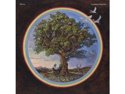 4021541 bill fay countless branches deluxe version cd