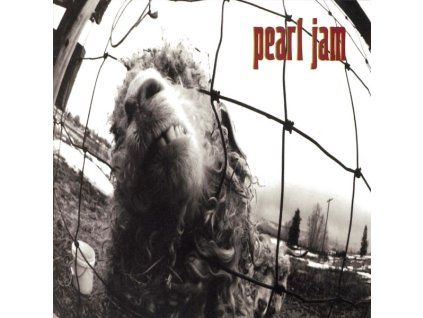 4021874 pearl jam vs cd