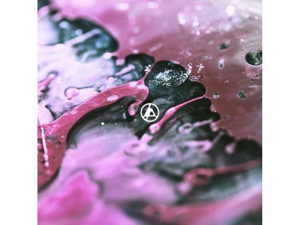 4029842 linkin park from zero cd