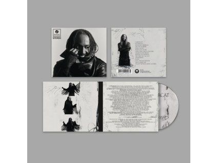 4032674 thundercat distracted cd
