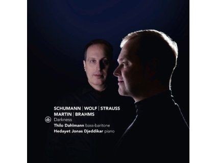 Thilo Dahlmann & Hedayet Jonas Djeddikar - Darkness (CD)