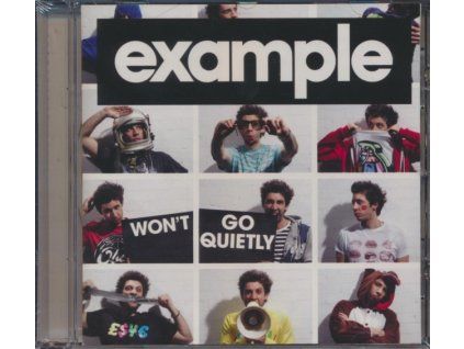 Example - Wont Go Quietly CD (CD)