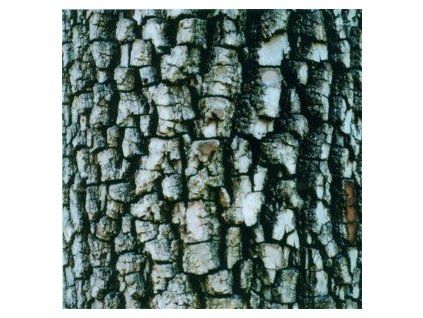 ATIVIN - INTERIORS (CD)