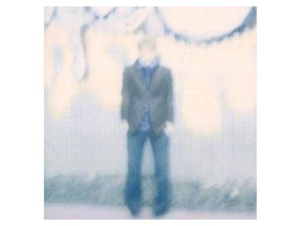 DEVINE, KEVIN - SPLIT THE COUNTRY, SPLIT THE STREET (CD)