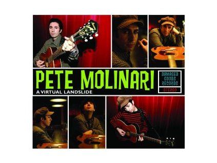 MOLINARI, PETE - A VIRTUAL LANDSLIDE (CD)