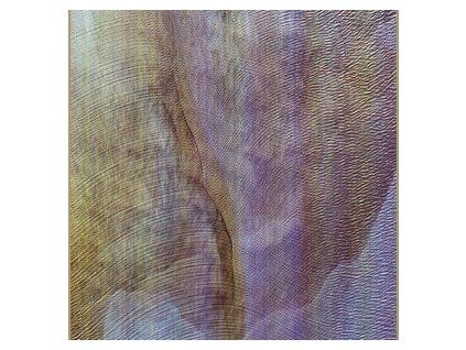 AKRON/FAMILY - SUB VERSES (CD)