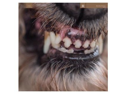 BLANCK MASS - WORLD EATER (CD)