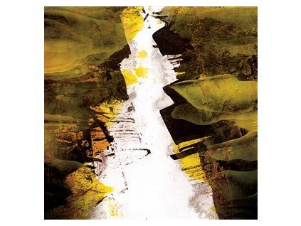 LIZZARD - ERODED (CD)