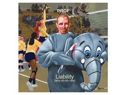 PROF - LIABILITY (CD)