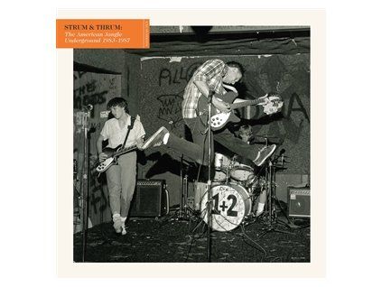 VARIOUS - STRUM & THRUM: THE AMERICAN JANGLE UNDERGROUND (CD)