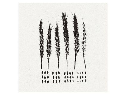 LO! - THE GLEANERS (CD)