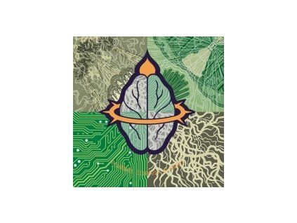 GIANT BRAIN - GRADE A GRAY DAY (CD)