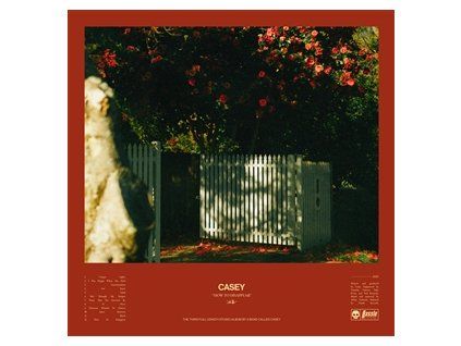CASEY - HOW TO DISAPPEAR (CD)