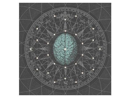 BIPOLAR ARCHITECHURE - METAPHYSICIZE (CD)