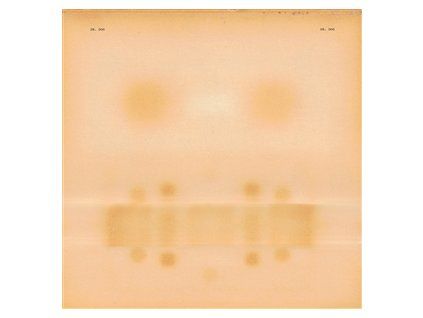 DR. DOG - DR. DOG (CD)