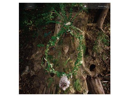 PHARMAKON - MAGGOT MASS (CD)