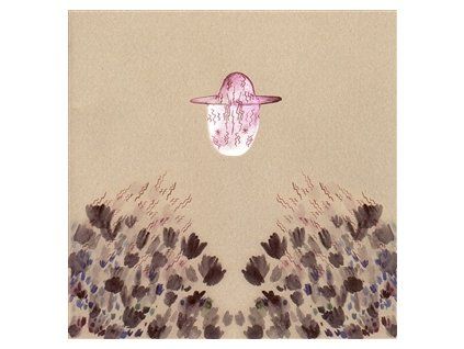 BANHART, DEVENDRA - SMOKEY ROLLS DOWN THUNDER CANYON (CD)