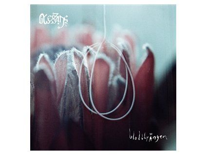 BLESSINGS - BLODSTR�NGEN (CD)