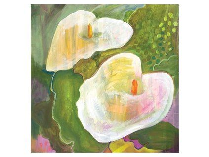 POWELL, MAE - MAKING ROOM FOR THE LIGHT (CD)