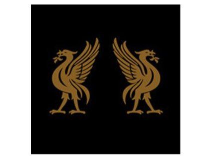 CAPE, JOEY - LIVERBIRDS (CD)